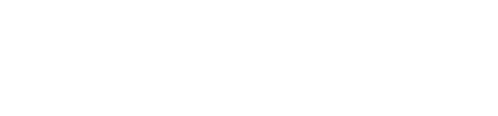 Plibus