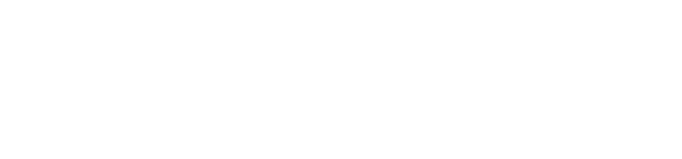 Plibus